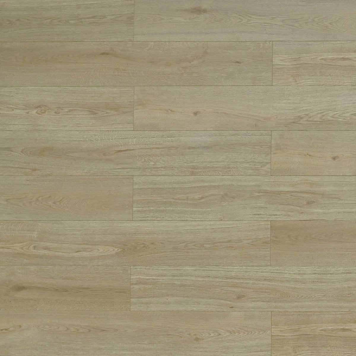 TF6611-F Las Cruces/ 12mm / water resistant Laminate / SKU:TF6611-F