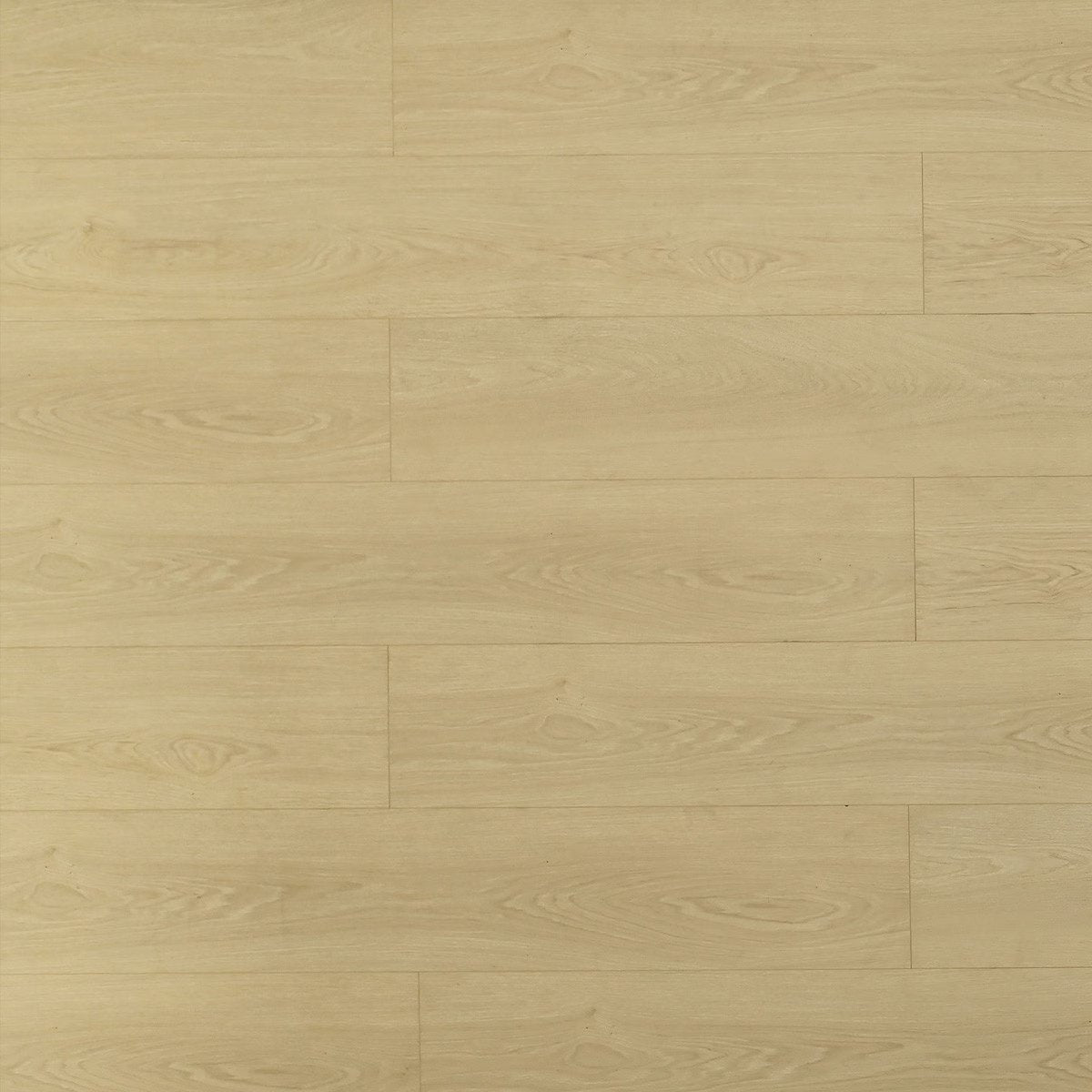 TF8103 Bandelier/ 8+2mm / water resistant Laminate / SKU:TF8103