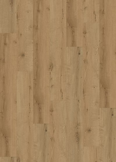 Derby | Signature Acoustic Click