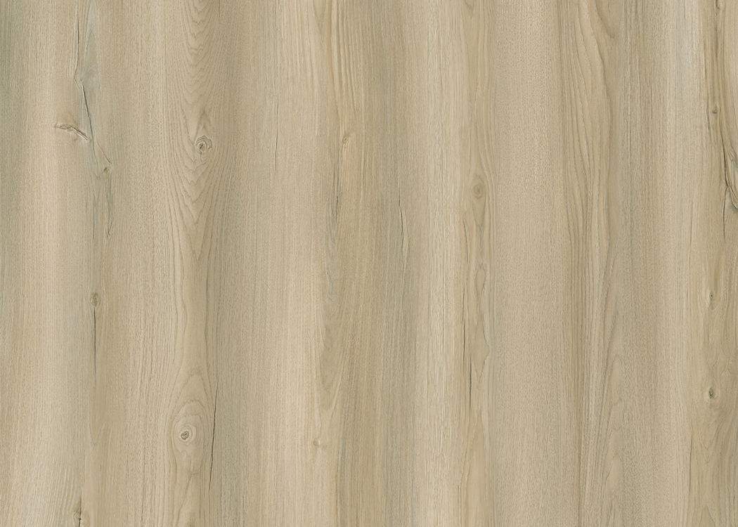 Cotton - RS003