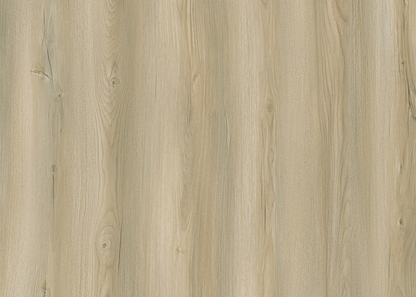 Cotton - RS003