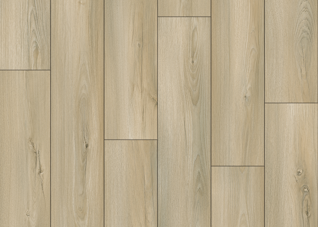 Cotton - RS003