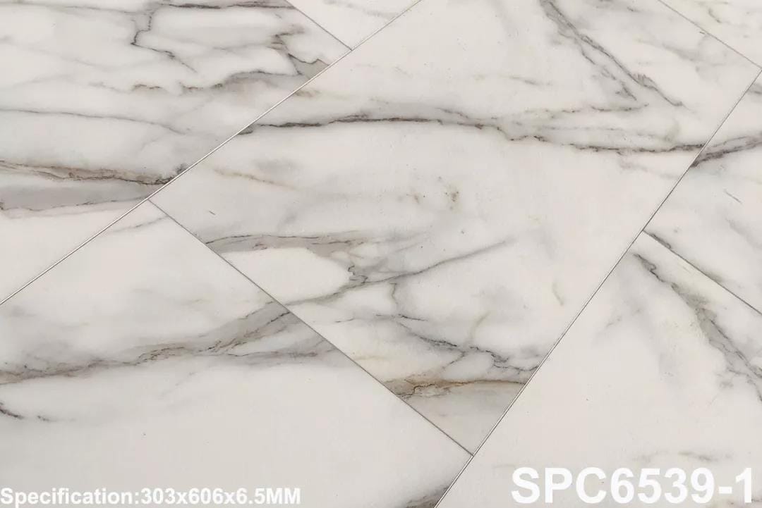 SPC 6539-1
