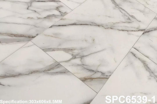 SPC 6539-1