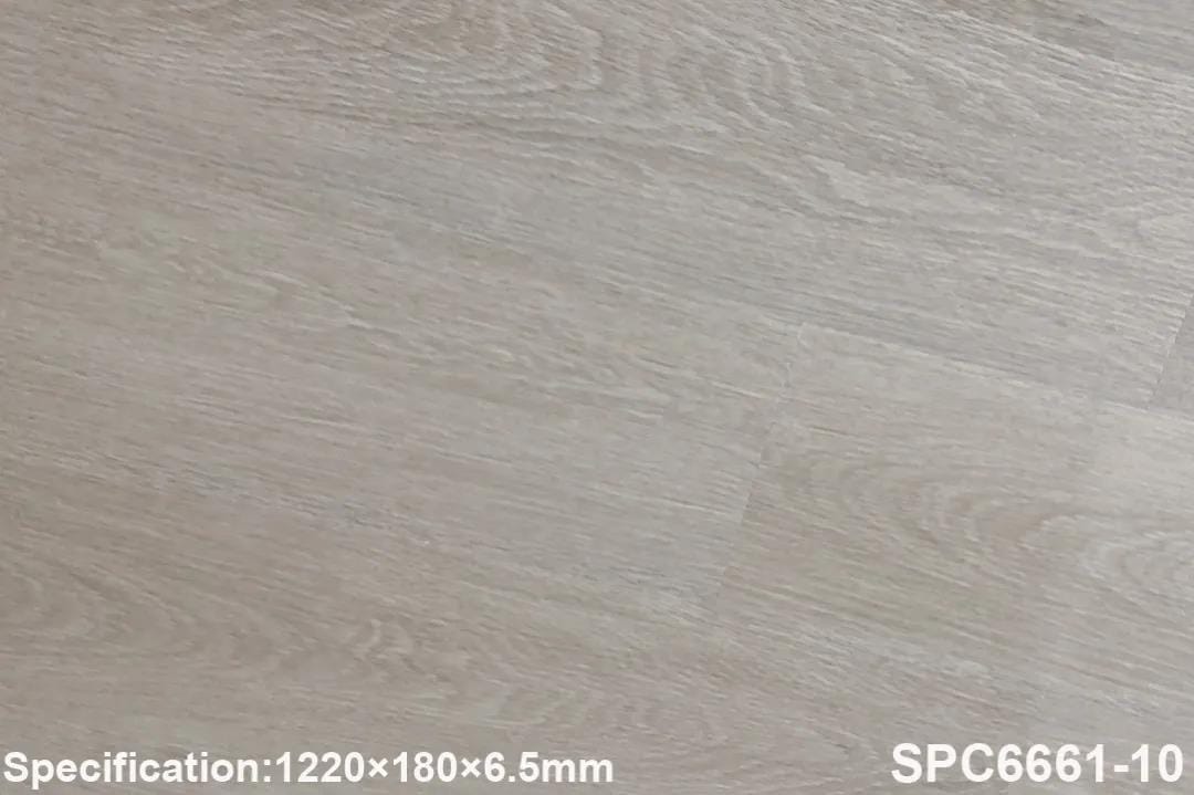 SPC 6661-10