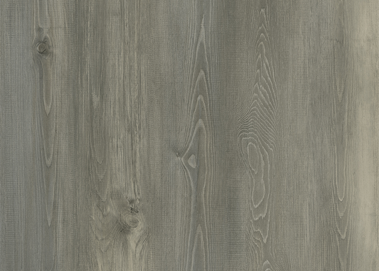 Fir - DR004