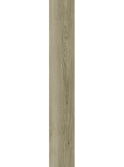 Gobi | Craftsman
