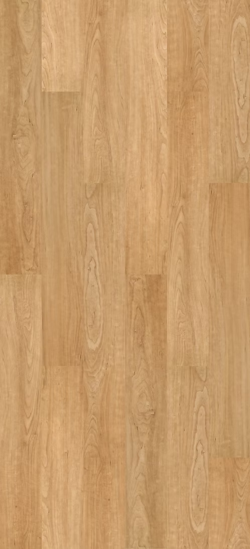 Bonsai Maple | Contract
