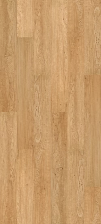 Bonsai Maple | Contract