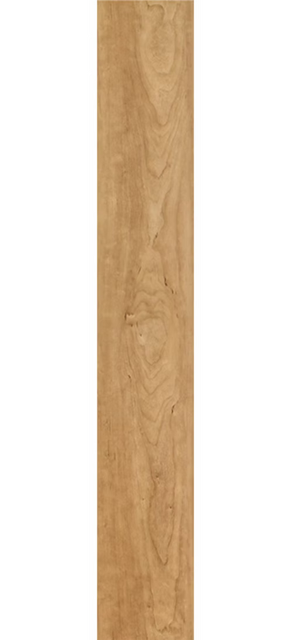 Bonsai Maple | Contract