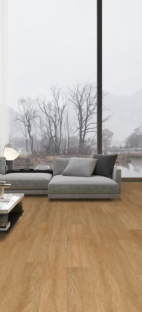 Bonsai Maple | Contract