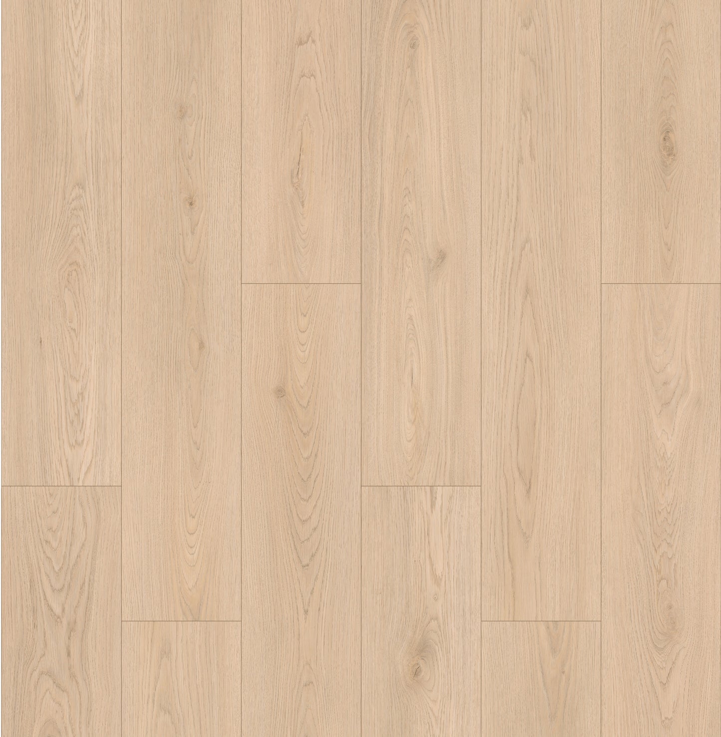 LeytonAqua | Coventry - LA784807CT