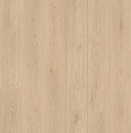 LeytonAqua | Birmingham - LA784808BH
