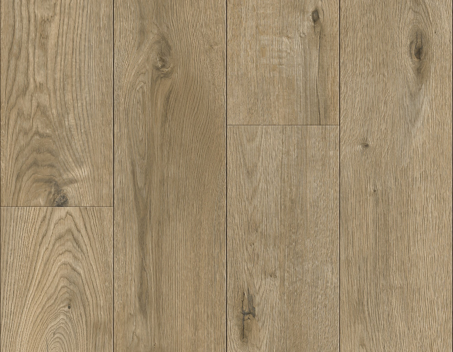 Chestnut - DR009