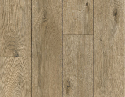 Chestnut - DR009