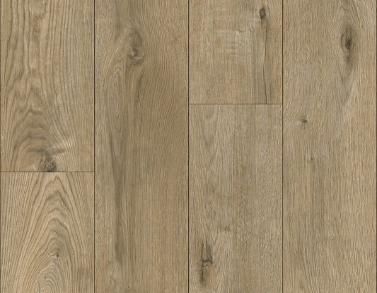 Chestnut - DR009