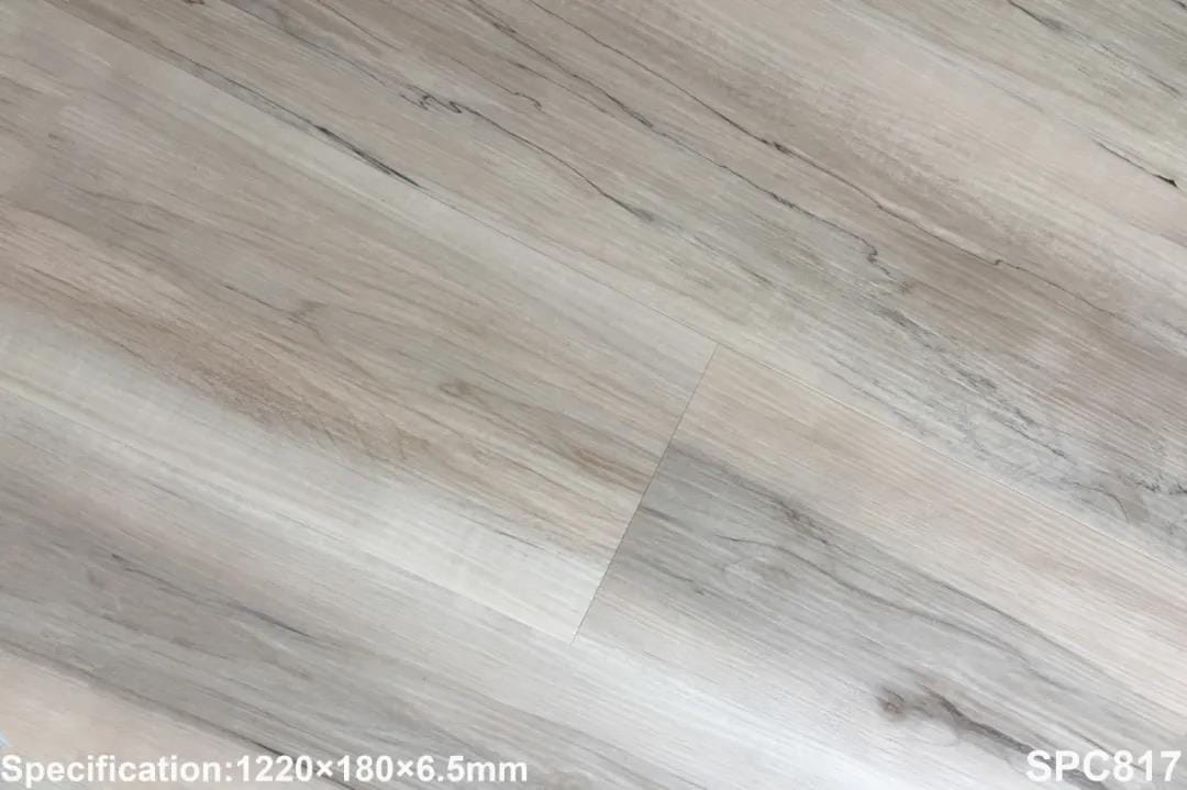 SPC 817