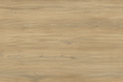 AP6502 Suva