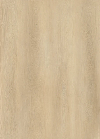 AP7001 Angel
