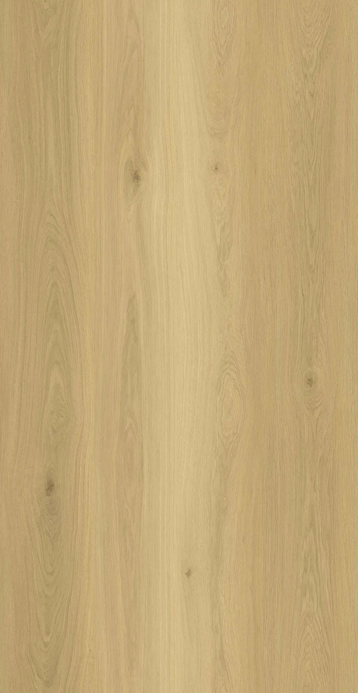 AP7003 Bravos