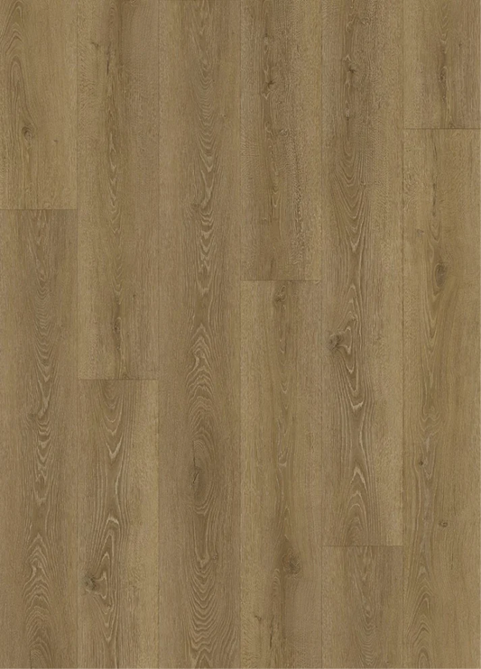 AP7008 Lechow