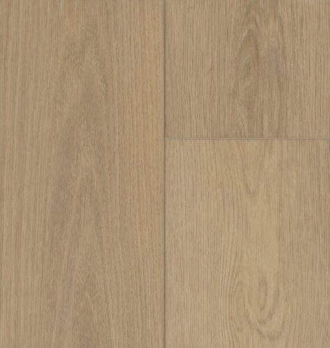 Beauty | Aquila