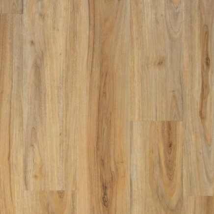 Cadizo | Foundation Plank