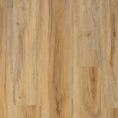 Cadizo | Foundation Plank