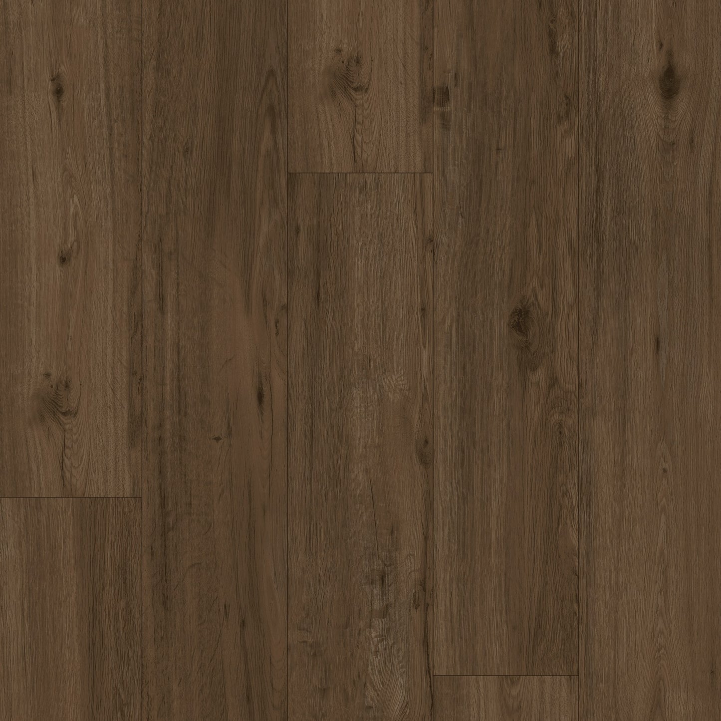 LeytonStone Lite | Dawn - PSS726508DA