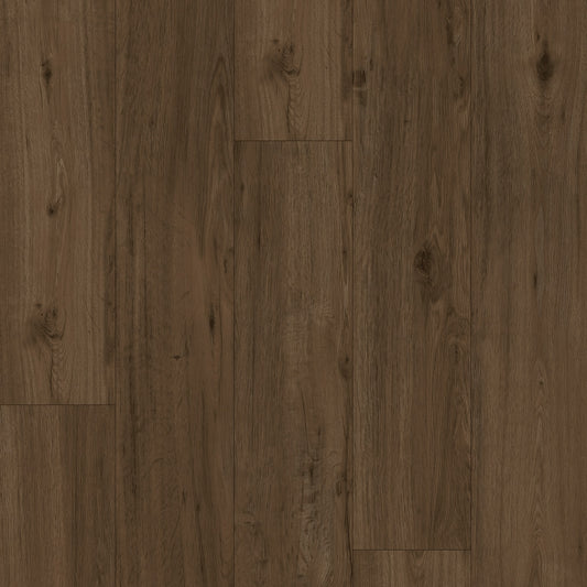 LeytonStone Lite | Dawn - PSS726508DA