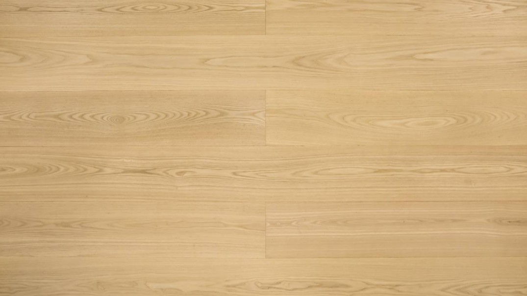 European White Ash-Day Break