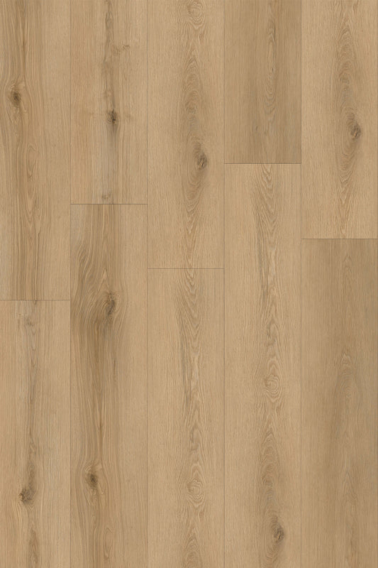 Hazelnut | HydroXpert