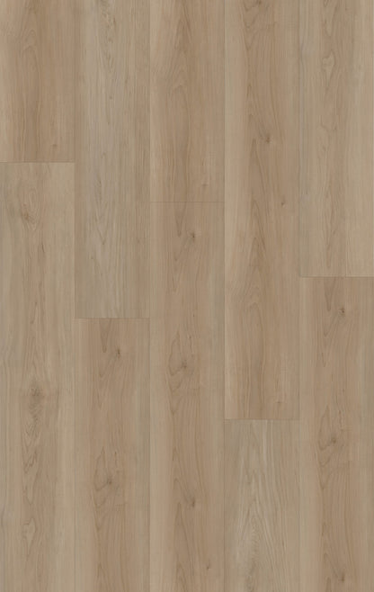 Canvas - ME008