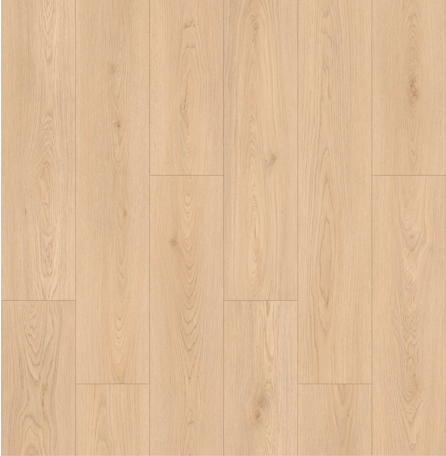 LeytonAqua | Manchester - LA784806MC