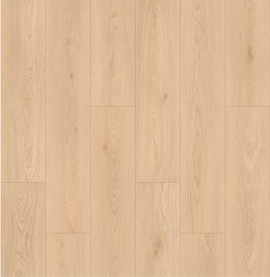 LeytonAqua | Manchester - LA784806MC