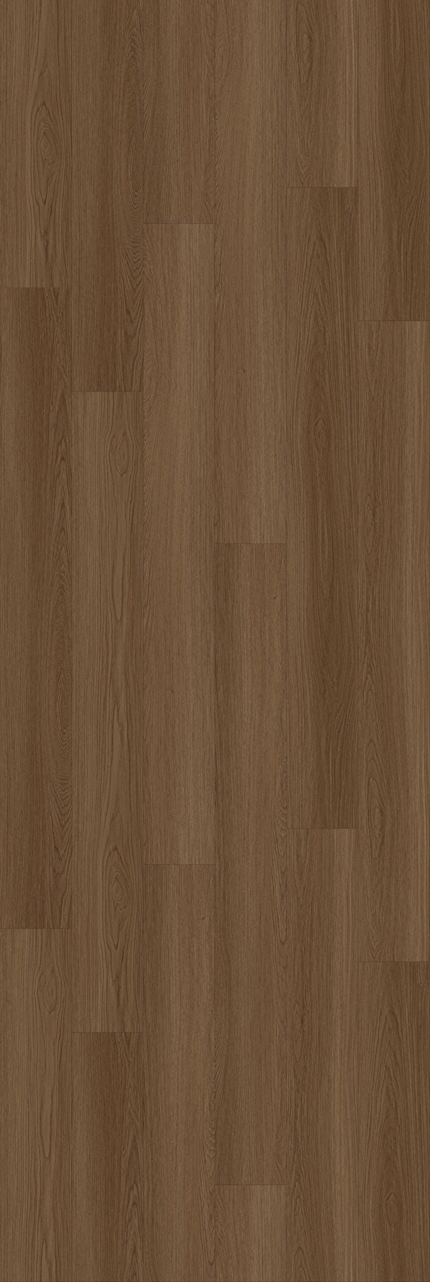 Mocha - RP003