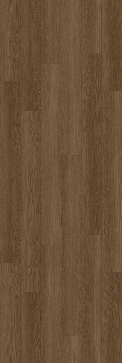 Mocha - RP003