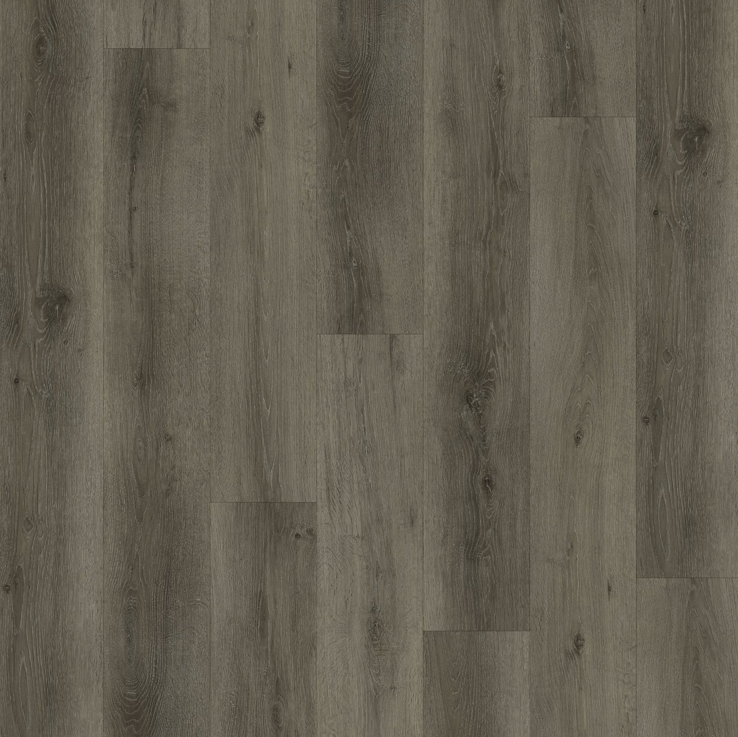 LeytonStone Lite | Moonlight - PSS726504ML