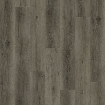 LeytonStone Lite | Moonlight - PSS726504ML