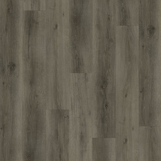 LeytonStone Lite | Moonlight - PSS726504ML