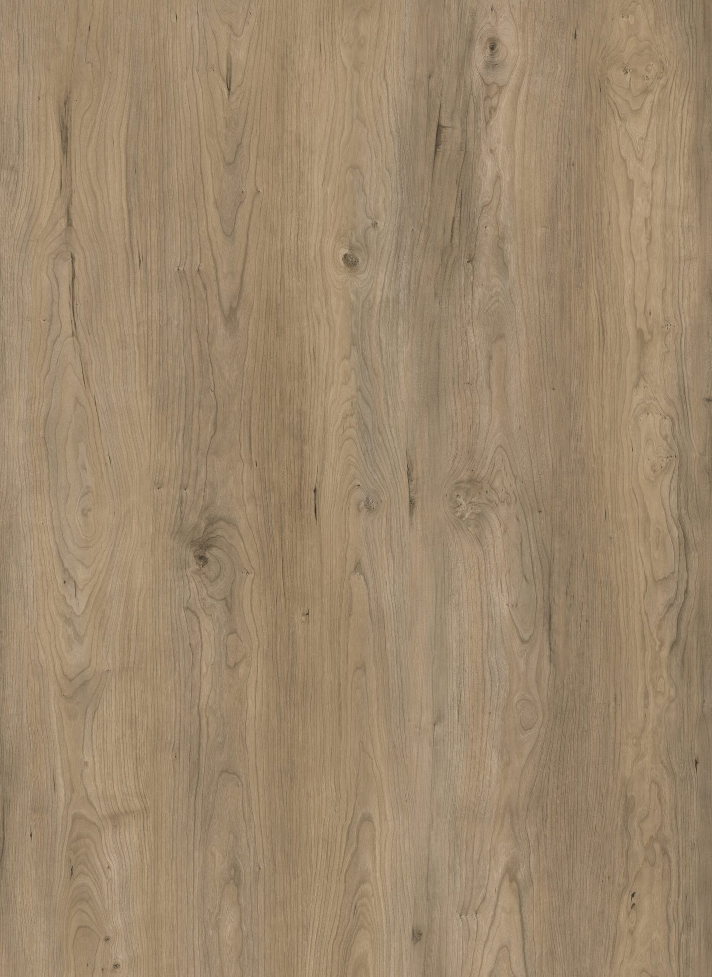 Urban Slate - OS003