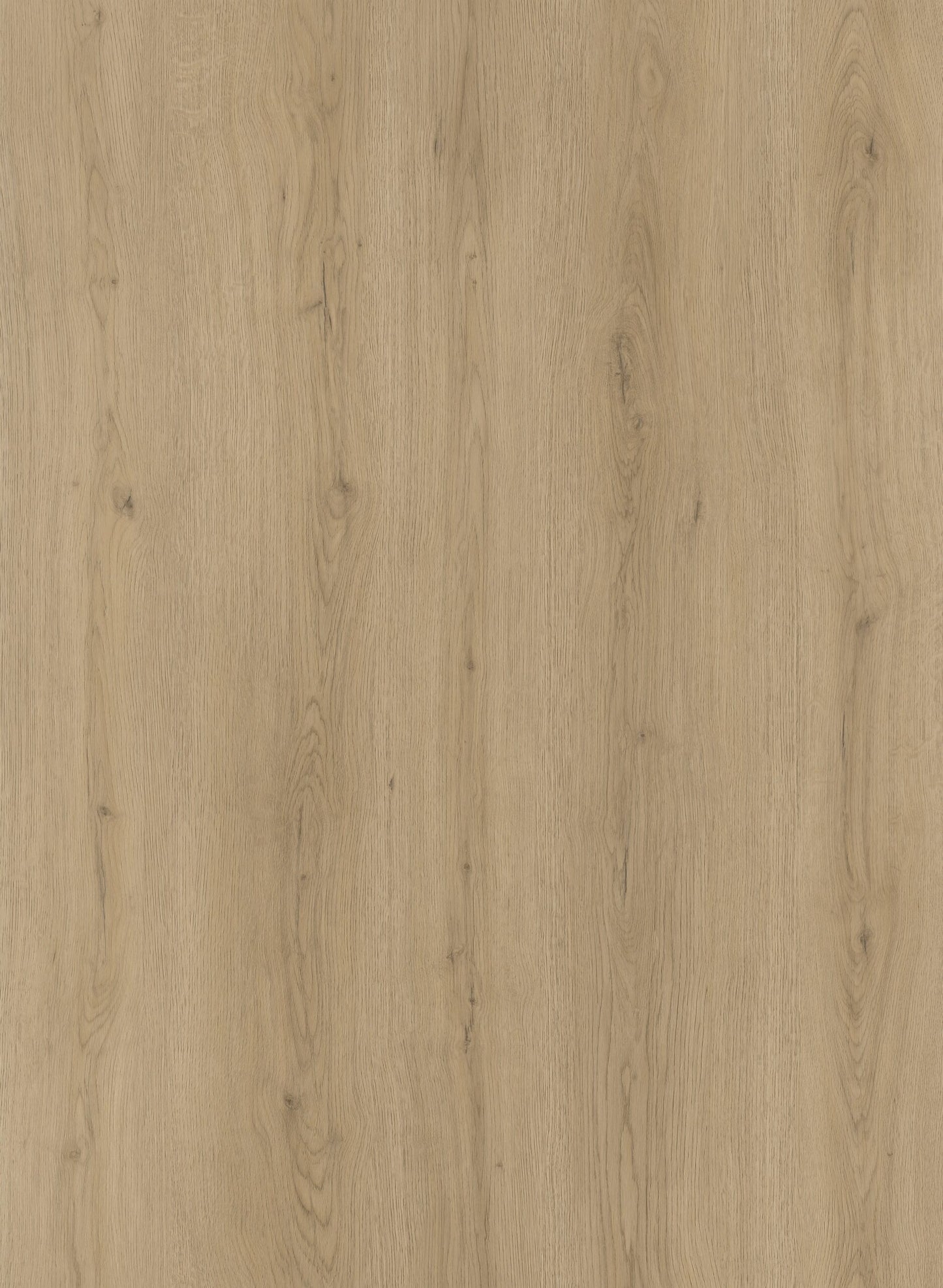 Alpine Ash - OS004