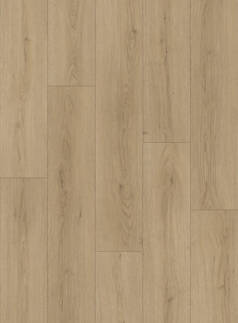 Alpine Ash - OS004