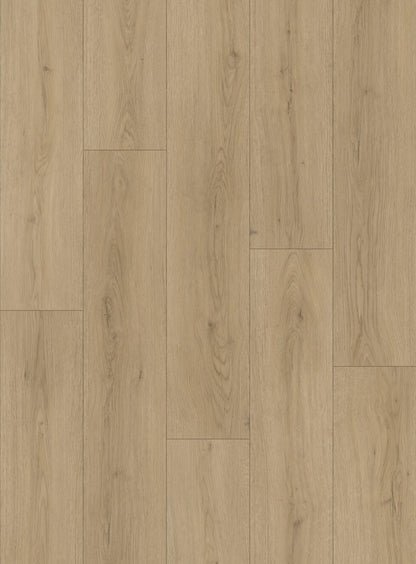 Alpine Ash - OS004