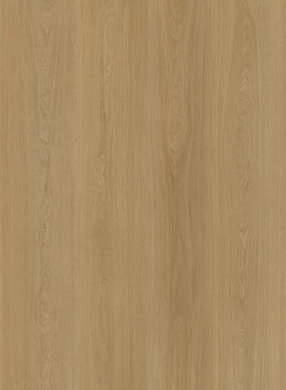 Coastal Oak - OS008