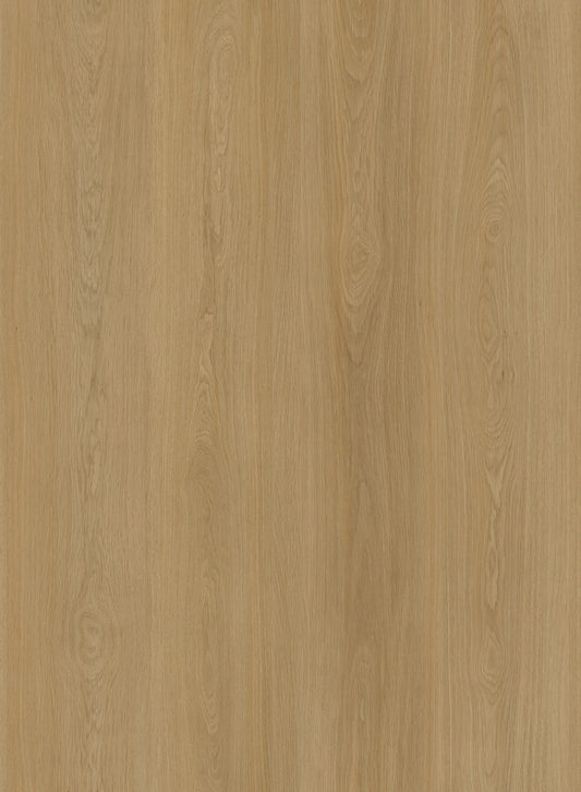 Coastal Oak - OS008
