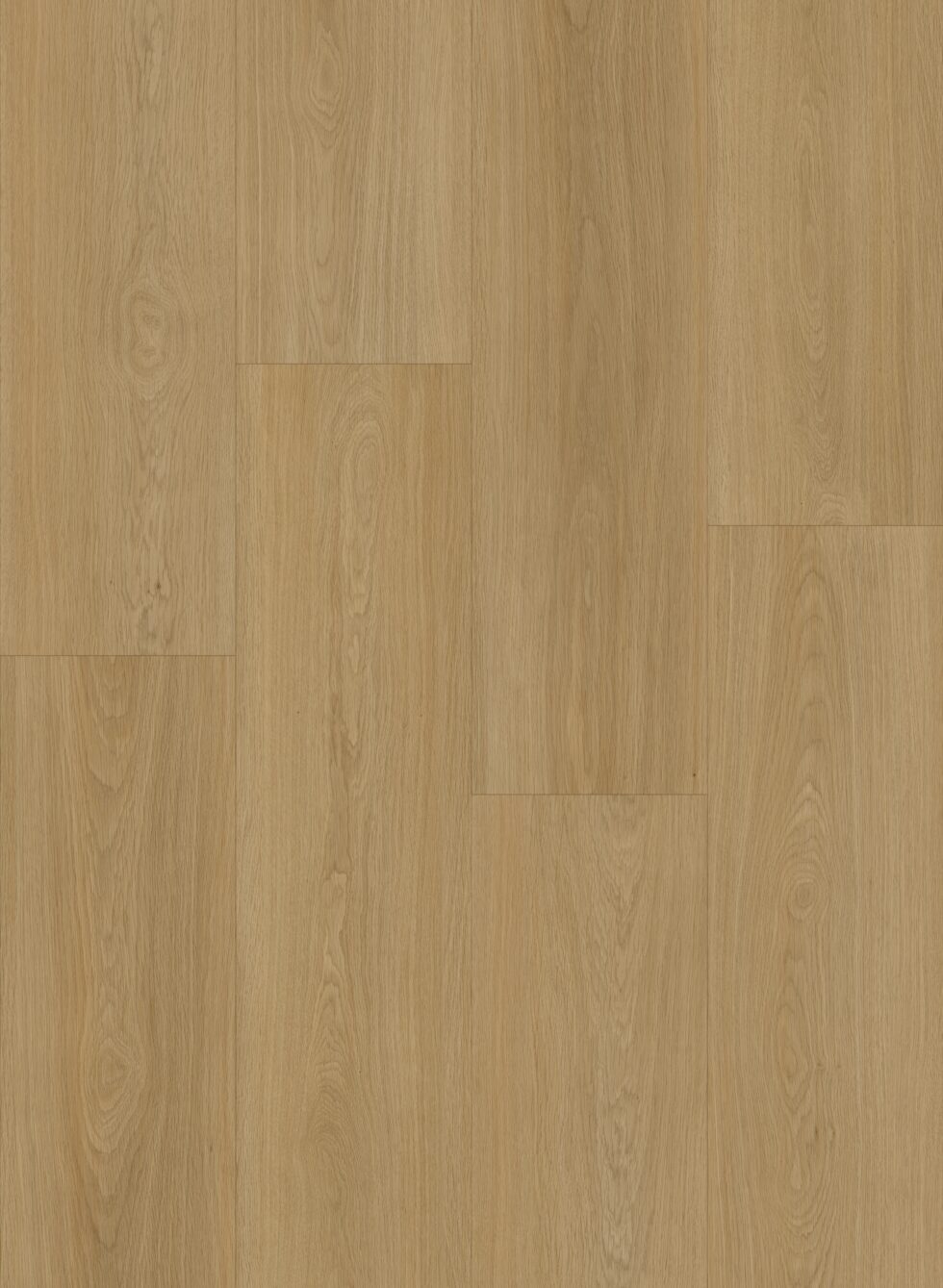 Coastal Oak - OS008