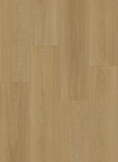 Coastal Oak - OS008