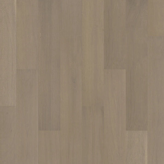 Driftwood 7-1/2″
