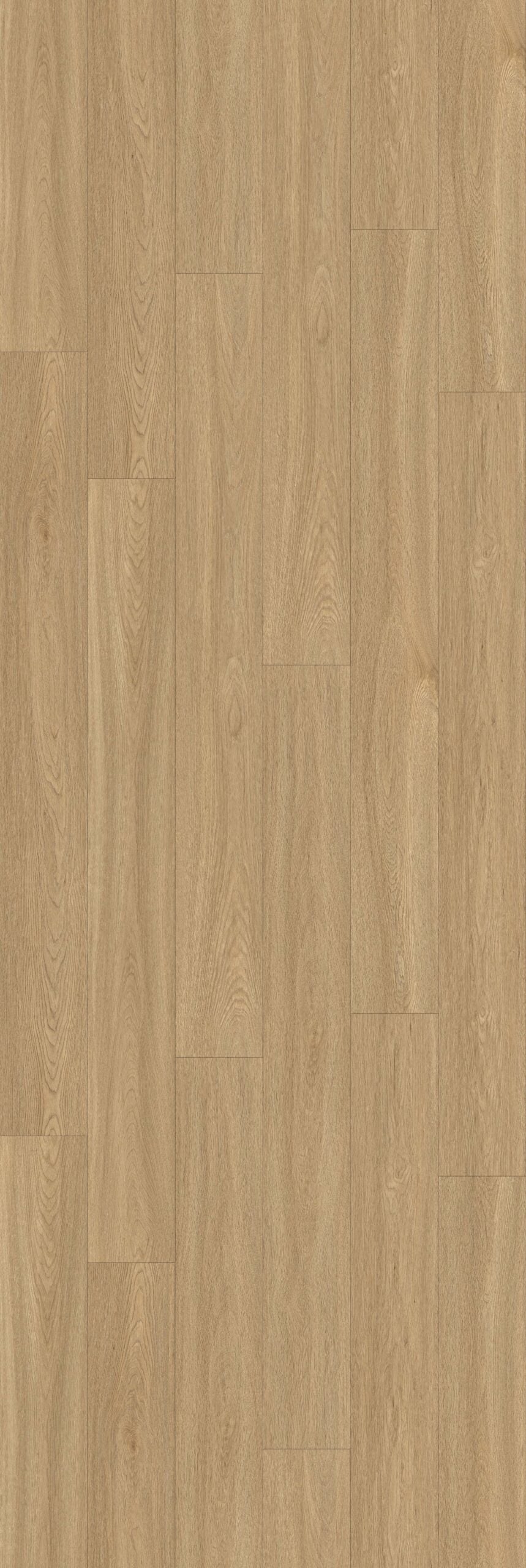Oatmeal - RP004